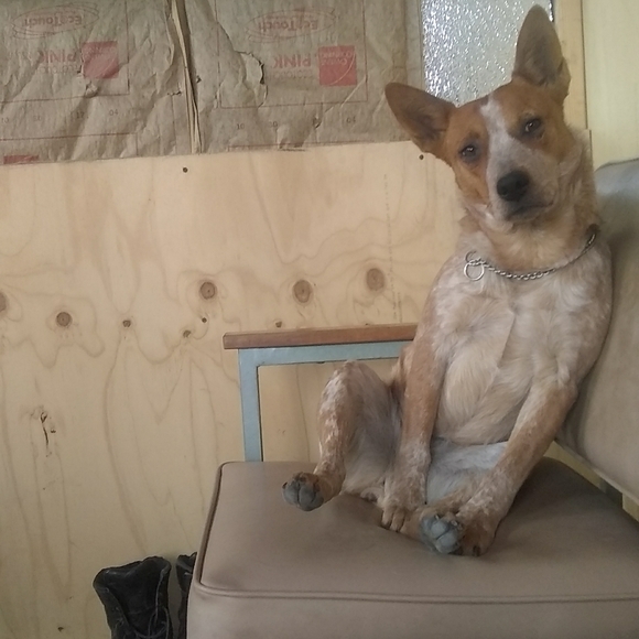 Dottie Stuart - Picture 8 of 8